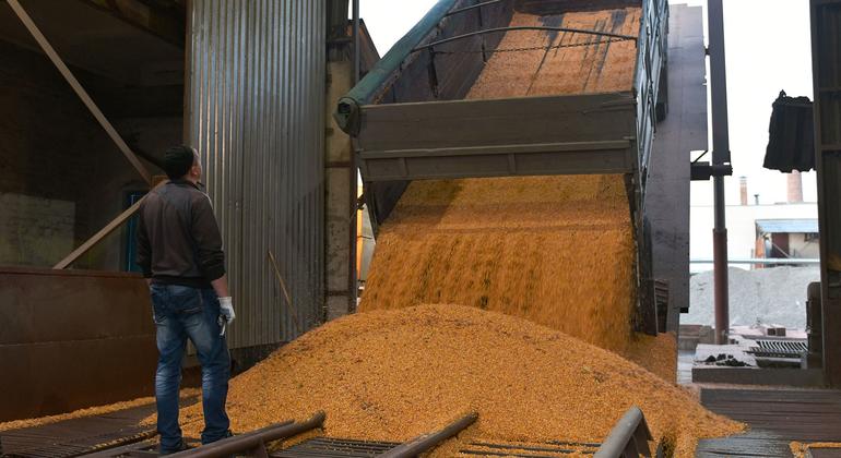 UN welcomes new centre to put Ukraine grain exports deal into motion
